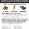 Addictive Wellness Sugar-Free Raw RECHARGE Chocolate 12 PACK Vegan Paleo & Keto- Purely Superfoods and Adaptogens view 2