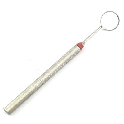 PRECISE CANADA: Dental Mouth Mirror Hollow Handle with Mirror Teeth Cleaning Inspection EXAM
