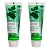 Dentiste 2x160 G. New Plus White Vitamin C & Xyitol Gum Toothpaste Made in Thailand view 1