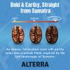 FLAVIA ALTERRA COFFEE, Sumatra Dark Roast, 20-Count Freshpacks (Pack of 1) view 3