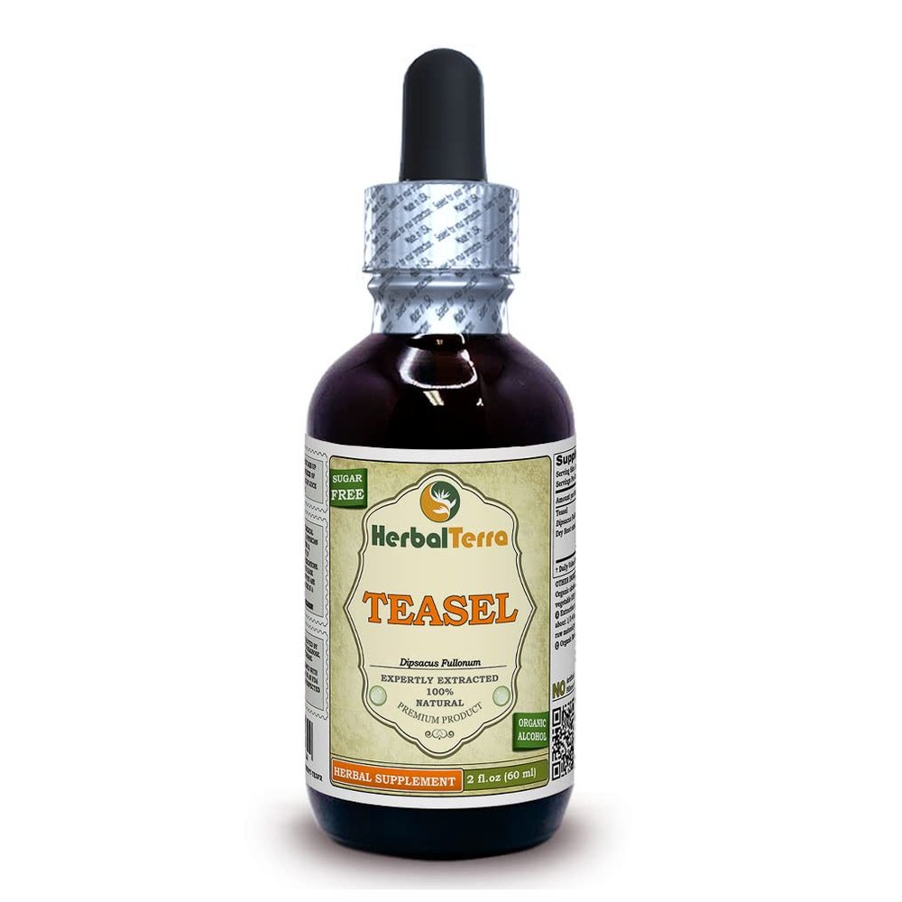 Herbal Terra LLC Teasel (Dipsacus fullonum) Tincture, Dried Root Liquid Extract 2 oz