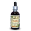 Herbal Terra LLC Teasel (Dipsacus fullonum) Tincture, Dried Root Liquid Extract 2 oz view 1