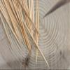 4000 Count | KingSeal Individually Paper Wrapped Bamboo Plain Toothpicks, Unflavored, 2.5 inch length, 100% Renewable, Bulk Pack - 4 Boxes x 1000 view 3