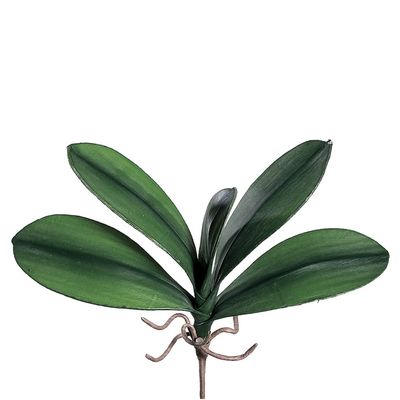 10.5" Silk Medium Phalaenopsis Orchid Leaf Plant Stem -Green (case of 12)