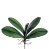 10.5" Silk Medium Phalaenopsis Orchid Leaf Plant Stem -Green (case of 12) view 1