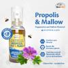 Beelife Propolis Throat Spray  Soothing Honey, Mint & Malva - Natural Immune Support & Sore Throat Relief, Antioxidants, Rich in Flavonoids & Artepillin C, No Sugar, Gluten-Free - 1-Pack, 30ml view 2