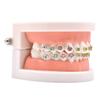 Angzhili 1 Piece Dental Demonstration Orthodontic Model with Metal Wires and Bracket (Metal Bracket) view 3