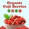 Food to Live Organic Goji Berries, 1 Pound - Sun Dried, Large and Juicy, Non-GMO, Raw, Vegan, Sirtfood, Bulk view 4