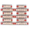 Angzhili 84 Pcs Dental Complete Acrylic Resin Denture False Teeth 3 Sets Synthetic Polymer Resin Denture Teeth 23 Shade A2 Upper + Lower Dental Materials view 2