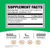 BulkSupplements.com Butcher's Broom Extract Powder - Butchers Broom, Herbal Supplement - Vegan & Gluten Free, 500mg per Serving, 1kg (2.2 lbs) (Pack of 1) view 2