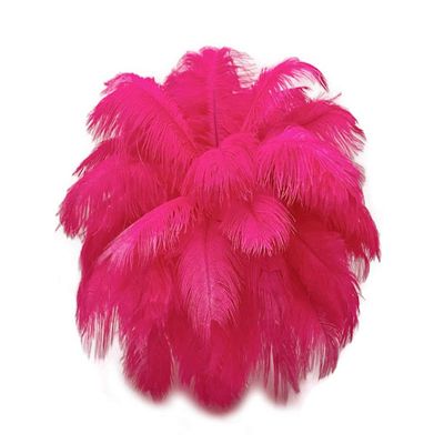 1/2 lb. - 14-17" Hot Pink Ostrich Large Body Drab Wholesale Feathers (Bulk) Gatsby Centerpiece Feather Wall | Moonlight Feather