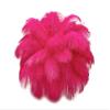 1/2 lb. - 14-17" Hot Pink Ostrich Large Body Drab Wholesale Feathers (Bulk) Gatsby Centerpiece Feather Wall | Moonlight Feather view 1