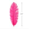 1/2 lb. - 14-17" Hot Pink Ostrich Large Body Drab Wholesale Feathers (Bulk) Gatsby Centerpiece Feather Wall | Moonlight Feather view 2