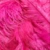 1/2 lb. - 14-17" Hot Pink Ostrich Large Body Drab Wholesale Feathers (Bulk) Gatsby Centerpiece Feather Wall | Moonlight Feather view 3