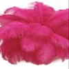 1/2 lb. - 14-17" Hot Pink Ostrich Large Body Drab Wholesale Feathers (Bulk) Gatsby Centerpiece Feather Wall | Moonlight Feather view 4