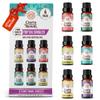 GuruNanda Essential Oils Set for Diffusers, 100% Pure, Aromatherapy, Massage, Candle & Soap Making Lavender, Peppermint, Eucalyptus, Grapefruit, Lemongrass, Ylang Ylang 0.33 Fl Oz (Pack of 6) view 1