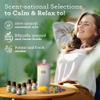 GuruNanda Essential Oils Set for Diffusers, 100% Pure, Aromatherapy, Massage, Candle & Soap Making Lavender, Peppermint, Eucalyptus, Grapefruit, Lemongrass, Ylang Ylang 0.33 Fl Oz (Pack of 6) view 3