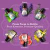 GuruNanda Essential Oils Set for Diffusers, 100% Pure, Aromatherapy, Massage, Candle & Soap Making Lavender, Peppermint, Eucalyptus, Grapefruit, Lemongrass, Ylang Ylang 0.33 Fl Oz (Pack of 6) view 4