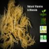 Dried Sea Moss (3 Oz (pack of 2)) - Caribbean Superfood - Wildcrafted Seedstock - Ethically Harvested - Makes 4 Quarts Gel view 4