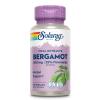 SOLARAY Bergamot 500 mg - Citrus Bergamot Supplement for an Active Lifestyle - Standardized to 25% Flavonoids - with Berberine HCl from Indian Barberry - Vegan, 60-Day Guarantee, 30 Serv, 60 VegCaps view 1