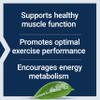 Life Extension Creatine Capsules  Creatine Monohydrate  Promotes Strength, Lean Muscle, Healthy Endurance  Non-GMO, Gluten-Free  120 Capsules view 4
