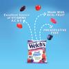 Welch's Fruit Snacks, Berries 'n Cherries, Great for School Lunches, Bulk Pack, Individual Single Serve Bags, 1.55 oz (Pack of 144) view 4