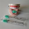 Munkcare Disposable Oral Foam Tipped Swab Mouth Cleaning Swab, Green Tooth Shape, 150 counts view 2