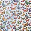 240ea - 20 X 30 Monarch Tissue Paper view 1