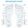 Daiwa Felicity Foot Massager Mat - Reflexology Mat with Magnetic Therapy Acupressure Disc - Ergonomic Acupressure Mat for Feet Relaxation, Pressure Point Pad - (Blue) view 4