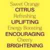 Plant Therapy Sweet Orange Essential Oil 100% Pure, Undiluted, Natural Aromatherapy, Therapeutic Grade 100 mL (3.3 oz) view 4