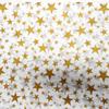 100 Gold Metallic Stars Tissue Paper Sheets (20in. x 30in.) view 1