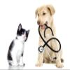Dog Heart Support - Omega 3 - for Dogs and Cats - Health and Wellness - Omega 3 Fatty acids for Dogs Liquid - 3 Bottle (540 Softgels) view 3