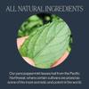 Rishi Tea Peppermint Herbal Tea - Organic, Caffeine Free Sachet Bags, Calming Sweet & Cooling Pure Peppermint Leaves - 50 Count view 3