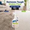 Black Diamond Stoneworks Carpet Spot Remover Carpet & Upholstery Cleaner for Rugs, Couches, Car Seats & Fabric Surfaces Removes Dirt, Pet Messes, Coffee & Wine Stains. (1-Quart) view 2
