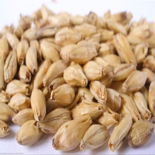 10 lb 6 Row Malt