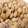 10 lb German Pilsen Malt view 1