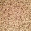 Grain Place Foods | Non-GMO Organic Hulled Barley | Made in the USA | 2 lb Bag view 4