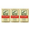 Tea Tree Therapy Toothpicks, Cinnamon, 100 Count (3-Pack) view 1