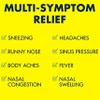 Advil Multi Symptom Cold and Flu Medicine, Cold Medicine for Adults with Ibuprofen, Phenylephrine HCL and Chlorpheniramine Maleate - 20 Coated Tablets view 2