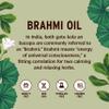 Banyan Botanicals Brahmi Oil in Coconut Base  Organic Ayurvedic Massage Oil with Gotu Kola and Bacopa  Calming Massage Oil for Focus & Relaxation  14.5 oz NonGMO Sustainably Sourced Abhyanga Oil view 3