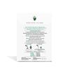 Pique Organic Sencha Tea Crystals - Supports Immunity, Energy - 14 Single Serve Sticks (Pack of 1) view 2