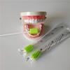 MUNKCARE Treated Dentifrice Oral Swabs- Dental Swabs Mouth Cleaning Sponge Swabs (250pcs, Fruit Green) view 3