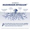 Host Defense Stamets 7-7 Species Blend - Mushroom Supplement for Immune Support - Includes Royal Sun Blazei, Cordyceps, Reishi, Maitake, Lion's Mane, Chaga & Mesima - 30 Capsules (15 Servings)* view 4