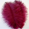 2 Pcs Ostrich Feather Plumes 10"-18" Burgundy view 1