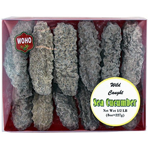 WOHO American Wild Caught Medium Size Sea Cucumber - 8 Oz