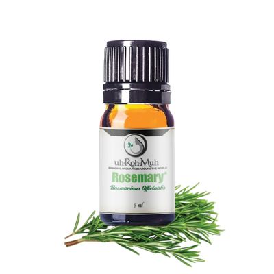 Organic Rosemary Essential Oil Chemotype Cineole | 100% Pure & Natural Steam Distilled from Leaves | Aromatherapy, Hair Growth, Focus & Respiratory Support | Fresh Woody Aroma | Spain - 5ml