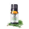 Organic Rosemary Essential Oil Chemotype Cineole | 100% Pure & Natural Steam Distilled from Leaves | Aromatherapy, Hair Growth, Focus & Respiratory Support | Fresh Woody Aroma | Spain - 5ml view 1