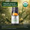 Organic Rosemary Essential Oil Chemotype Cineole | 100% Pure & Natural Steam Distilled from Leaves | Aromatherapy, Hair Growth, Focus & Respiratory Support | Fresh Woody Aroma | Spain - 5ml view 2
