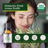 Organic Rosemary Essential Oil Chemotype Cineole | 100% Pure & Natural Steam Distilled from Leaves | Aromatherapy, Hair Growth, Focus & Respiratory Support | Fresh Woody Aroma | Spain - 5ml view 4