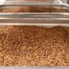 McCabe Organic Barley Tea - Rich with Fiber & Minerals | USDA and CCOF Certified Organic Tea | Product of USA | 1.5 Lbs view 3